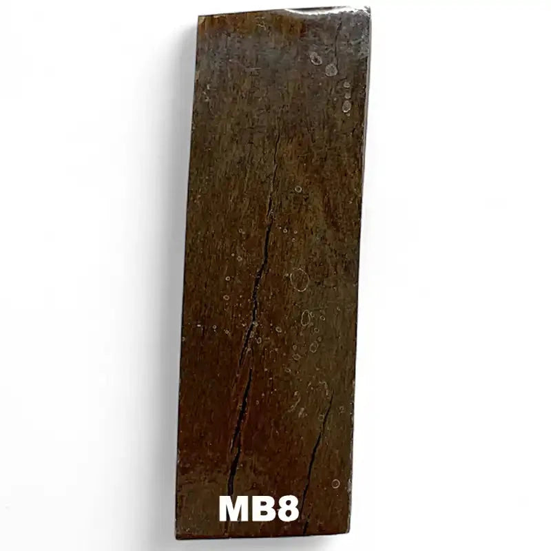 Mammoth Bone Slab- PREMIUM- Stabilized- Raffir® FossilsHobbies & Creative Arts.25" x 1.6" x 4.8"- MB8