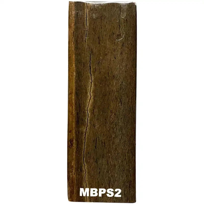 Mammoth Bone Slab- PREMIUM- Stabilized- Raffir® Fossils - Maker Material Supply