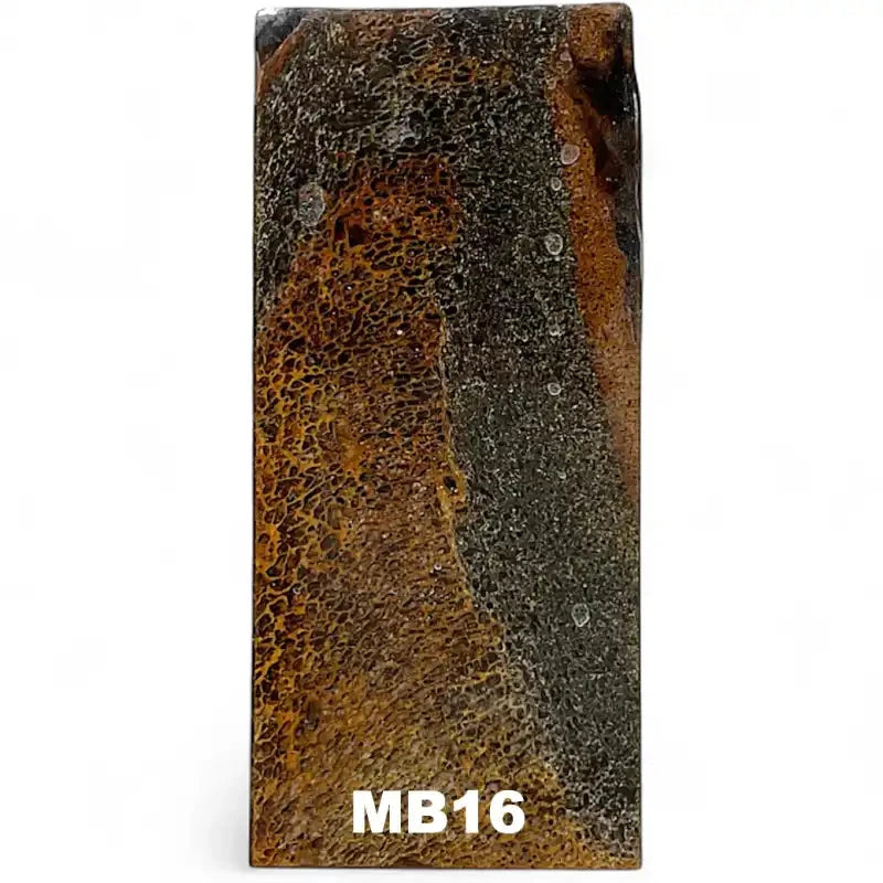 Mammoth Bone Slab- PREMIUM- Stabilized- Raffir® FossilsHobbies & Creative Arts.28" x 1.7" x 3.8"- MB16