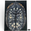 Mammoth Ivory Tusk- HYBRID CROSSCUT w Black Resin- by Raffir®Hobbies & Creative Arts.25" x 1.5" x 4.3"- 4S