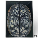 Mammoth Ivory Tusk- HYBRID CROSSCUT w Black Resin- by Raffir®Hobbies & Creative Arts.25" x 1.5" x 4.3"- 7S