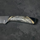 Mammoth Ivory Tusk- HYBRID CROSSCUT w Black Resin- by Raffir® - Maker Material Supply