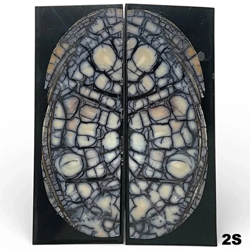 Mammoth Ivory Tusk- HYBRID CROSSCUT w Black Resin- by Raffir®Hobbies & Creative Arts