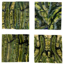 Mammoth Molar Jewelry Sets- 1/8" x 0.9" x 1.8"- LIGHT GREEN- Raffir® Fossils - Maker Material Supply