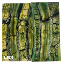 Mammoth Molar Jewelry Sets- 1/8" x 0.9" x 1.8"- LIGHT GREEN- Raffir® Fossils - Maker Material Supply