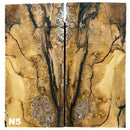 Mammoth Molar Jewelry Sets- 1/8" x 0.9" x 1.8"- NATURAL- Raffir® Fossils - Maker Material Supply