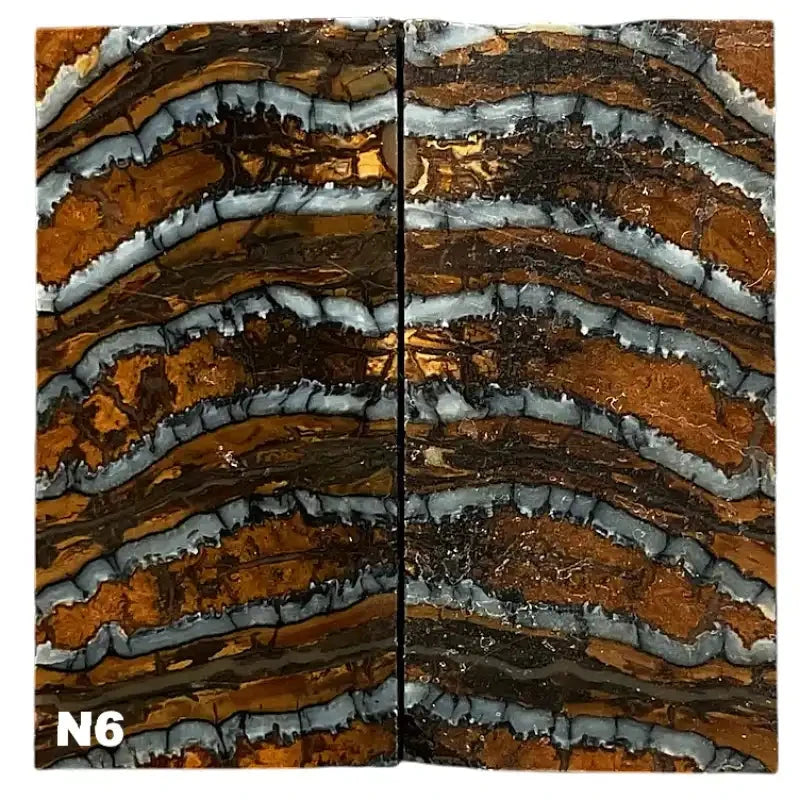 Mammoth Molar Jewelry Sets- 1/8" x 0.9" x 1.8"- NATURAL- Raffir® Fossils - Maker Material Supply