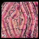 Mammoth Molar Jewelry Sets- 1/8" x 0.9" x 1.8"- PINK- Raffir® Fossils - Maker Material Supply