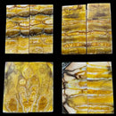 Mammoth Molar Jewelry Sets- 1/8" x 0.9" x 1.8"- YELLOW- Raffir® Fossils - Maker Material Supply