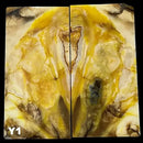 Mammoth Molar Jewelry Sets- 1/8" x 0.9" x 1.8"- YELLOW- Raffir® Fossils - Maker Material Supply