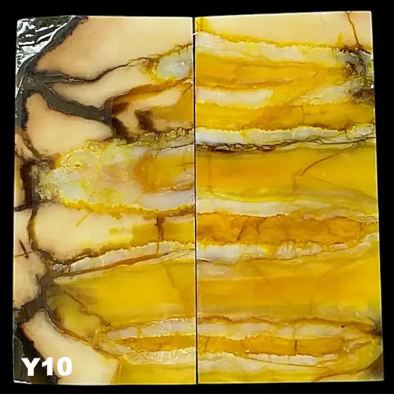 Mammoth Molar Jewelry Sets- 1/8" x 0.9" x 1.8"- YELLOW- Raffir® FossilsHobbies & Creative ArtsYellow 10