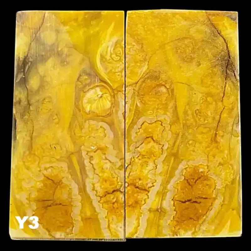 Mammoth Molar Jewelry Sets- 1/8" x 0.9" x 1.8"- YELLOW- Raffir® FossilsHobbies & Creative ArtsYellow 3