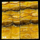 Mammoth Molar Jewelry Sets- 1/8" x 0.9" x 1.8"- YELLOW- Raffir® Fossils - Maker Material Supply