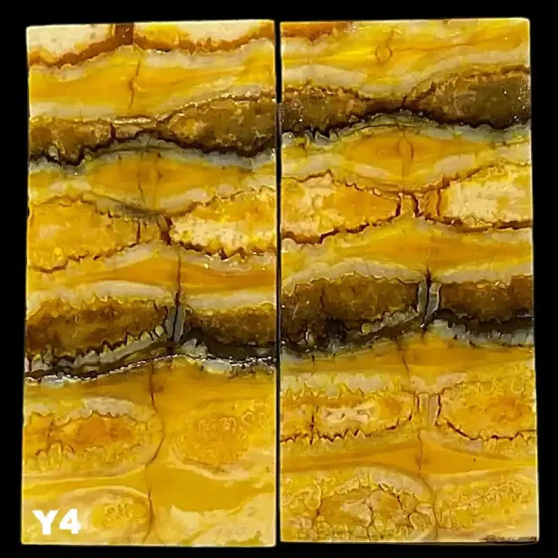 Mammoth Molar Jewelry Sets- 1/8" x 0.9" x 1.8"- YELLOW- Raffir® FossilsHobbies & Creative ArtsYellow 4