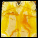 Mammoth Molar Jewelry Sets- 1/8" x 0.9" x 1.8"- YELLOW- Raffir® Fossils - Maker Material Supply