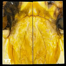 Mammoth Molar Jewelry Sets- 1/8" x 0.9" x 1.8"- YELLOW- Raffir® Fossils - Maker Material Supply