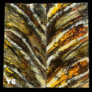 Mammoth Molar Jewelry Sets- 1/8" x 0.9" x 1.8"- YELLOW- Raffir® Fossils - Maker Material Supply