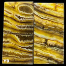 Mammoth Molar Jewelry Sets- 1/8" x 0.9" x 1.8"- YELLOW- Raffir® Fossils - Maker Material Supply