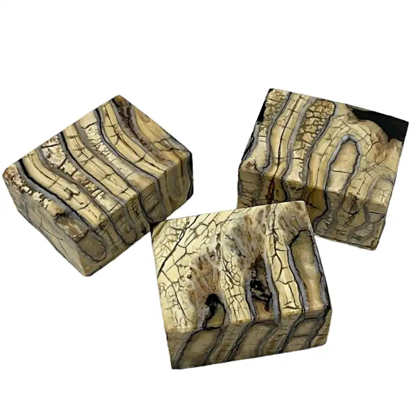 Mammoth Molar- Mini Craft Blocks - Maker Material Supply