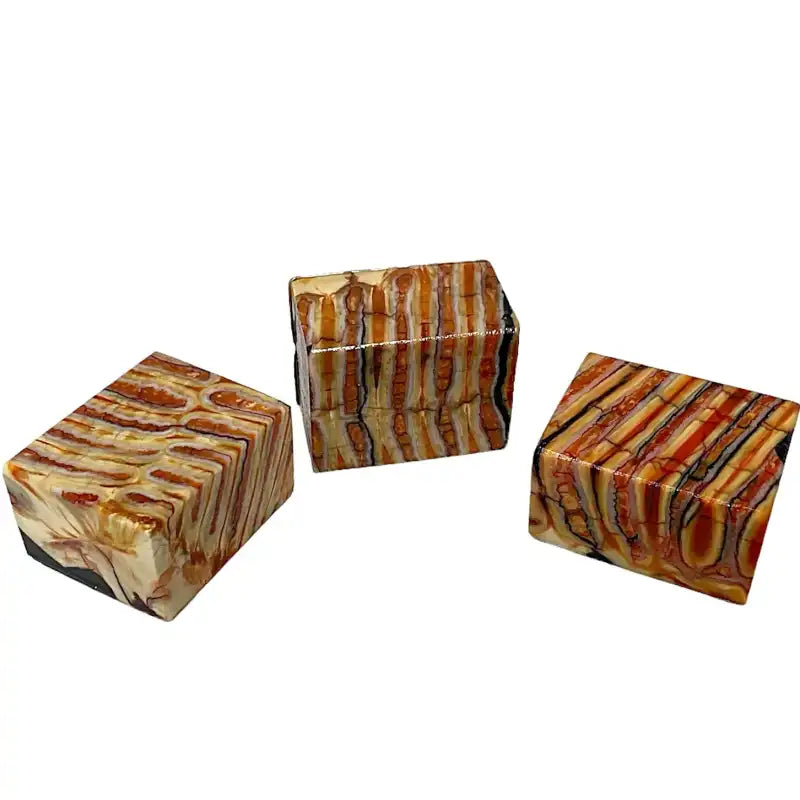 Mammoth Molar- Mini Craft Blocks - Maker Material Supply