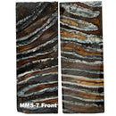 Mammoth Molar Scales- 1.3"(W) x 3.7"(L)- NATURAL- Raffir® Fossils - Maker Material Supply