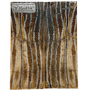 Mammoth Molar Scales- 1/8" x 1.4" x 3.7"- NATURAL- Raffir® Fossils- NAT1 - Maker Material Supply