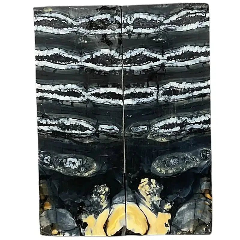 Mammoth Molar Scales- BLACK- .12" x 1.4" x 3.7"- Raffir® Fossils- MMB2 - Maker Material Supply