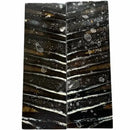Mammoth Molar Scales- BLACK- .23" x 1.6" x 4.8"- Raffir® Fossils- MS15 - Maker Material Supply
