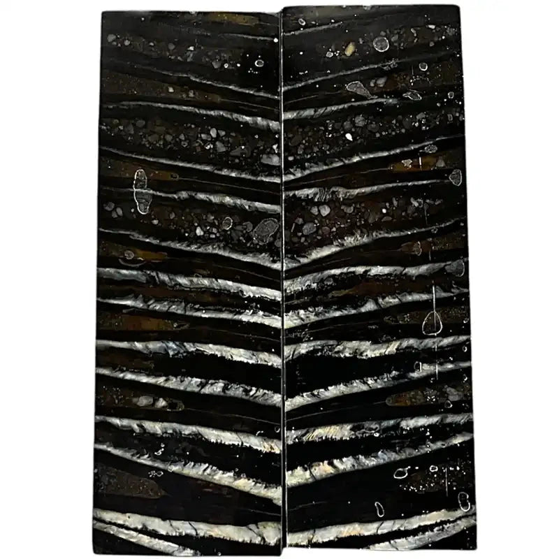 Mammoth Molar Scales- BLACK- .24" x 1.6" x 4.8"- Raffir® Fossils- MS14 - Maker Material Supply