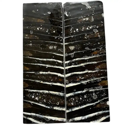 Mammoth Molar Scales- BLACK- .24" x 1.6" x 4.8"- Raffir® Fossils- MS16 - Maker Material Supply