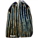 Mammoth Molar Scales- BLUE- .18" x 1.4" x 4.5"- Raffir® Fossils- MMS10 - Maker Material Supply