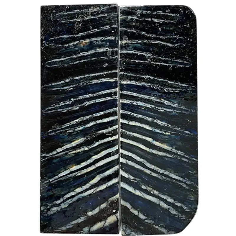 Mammoth Molar Scales- BLUE- .21" x 1.6" x 4.8"- Raffir® Fossils- MMS9 - Maker Material Supply