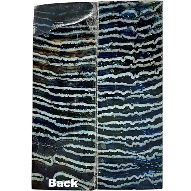 Mammoth Molar Scales- BLUE- .22" x 1.6" x 4.2"- Raffir® Fossils- MMS4 - Maker Material Supply