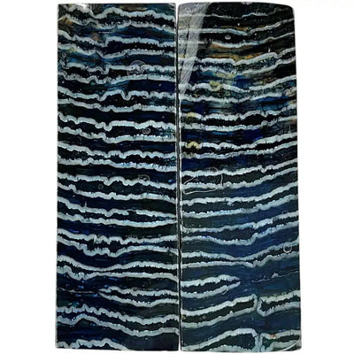 Mammoth Molar Scales- BLUE- .22" x 1.6" x 4.2"- Raffir® Fossils- MMS4 - Maker Material Supply
