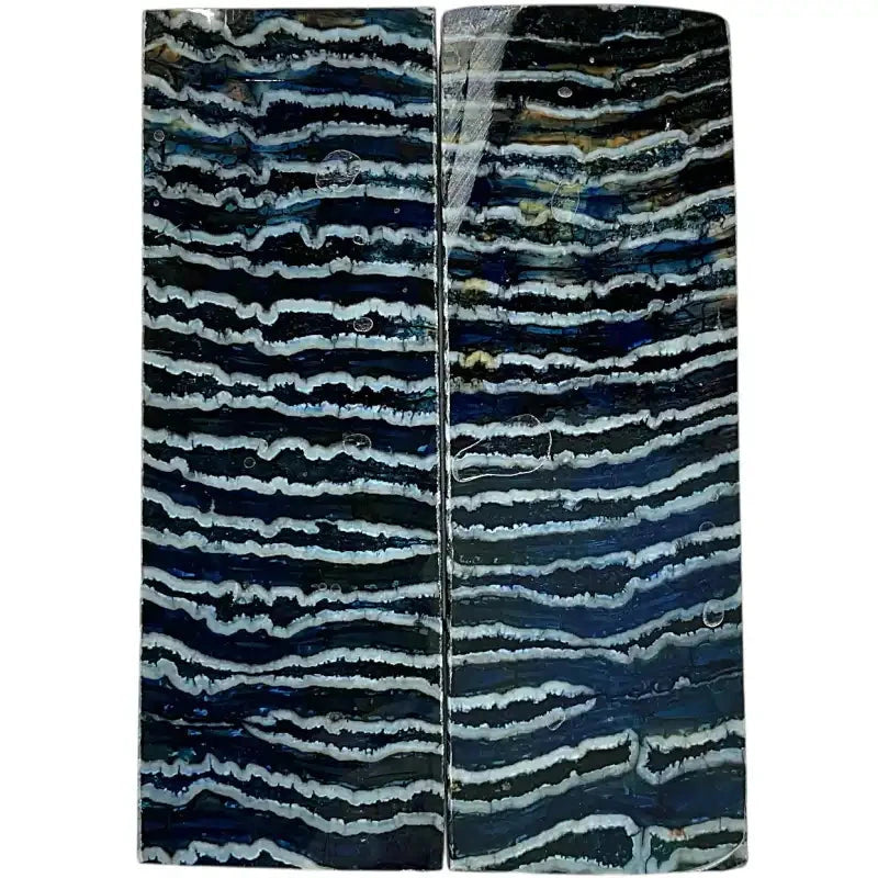 Mammoth Molar Scales- BLUE- .22" x 1.6" x 4.2"- Raffir® Fossils- MMS4 - Maker Material Supply