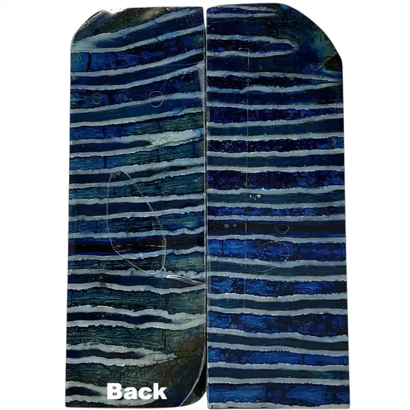 Mammoth Molar Scales- BLUE- .23" x 1.6" x 4.7"- Raffir® Fossils- MMS5 - Maker Material Supply