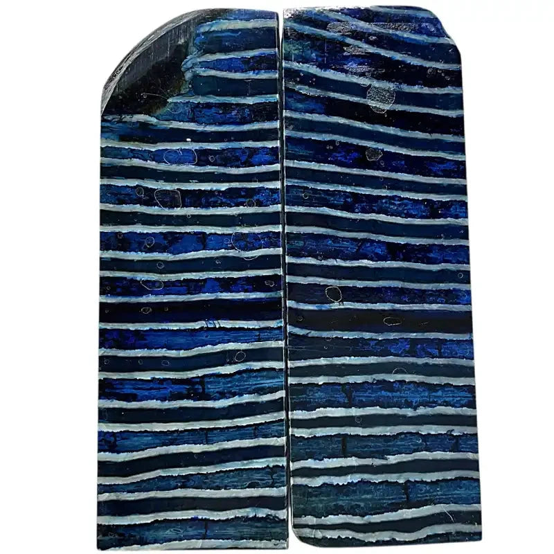 Mammoth Molar Scales- BLUE- .23" x 1.6" x 4.7"- Raffir® Fossils- MMS5 - Maker Material Supply