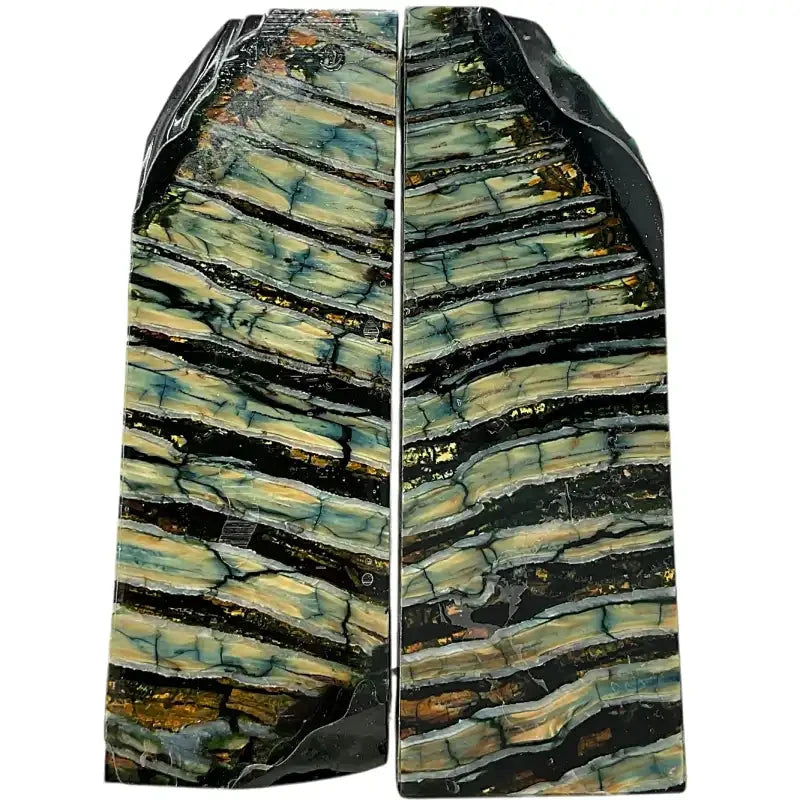 Mammoth Molar Scales- BLUE- .25" x 1.6" x 4.7"- Raffir® Fossils- MMS12 - Maker Material Supply