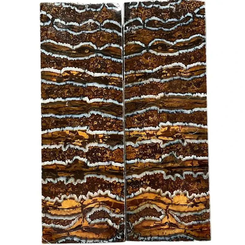 Mammoth Molar Scales- BROWN- .13-.27" x 1.6" x 4.7"- Raffir® Fossils- MS17 - Maker Material Supply
