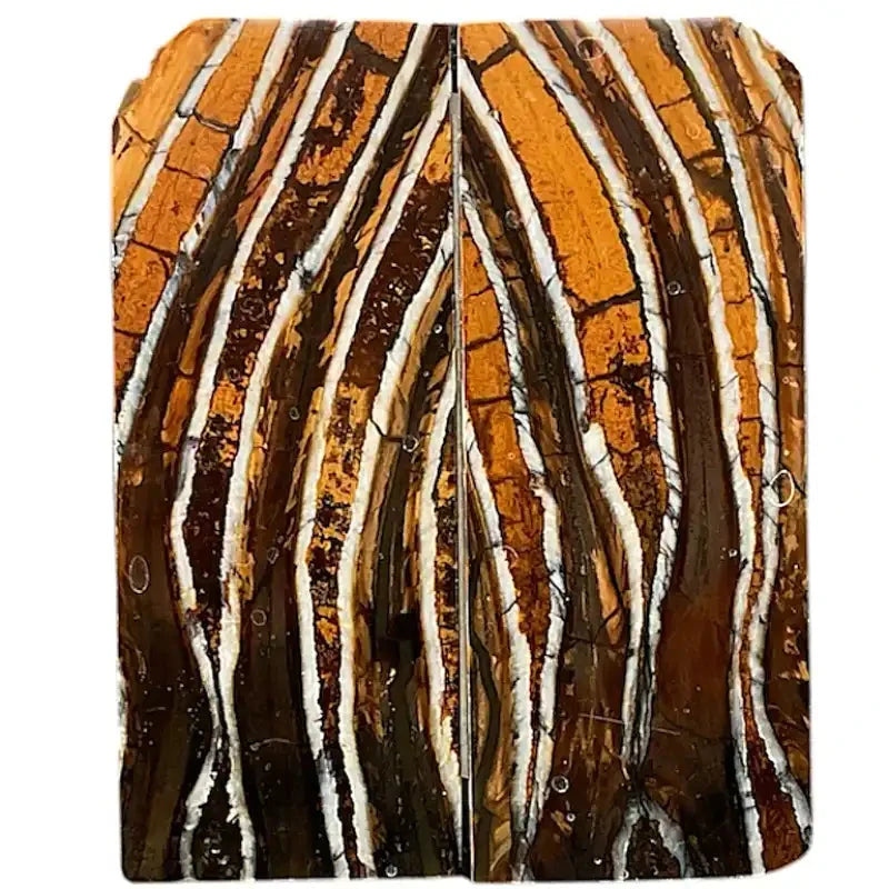 Mammoth Molar Scales- BROWN- .13" x 1.4" x 3.2"- Raffir® Fossils- MBRN8 - Maker Material Supply