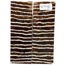 Mammoth Molar Scales- BROWN- .19" x 1.6" x 4.8"- Raffir® Fossils- MM1 - Maker Material Supply