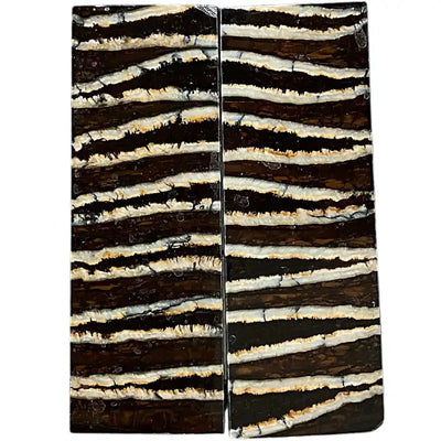 Mammoth Molar Scales- BROWN- .23" x 1.6" x 4.8"- Raffir® Fossils- MM4 - Maker Material Supply