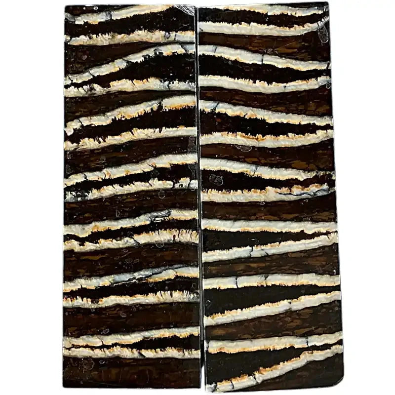 Mammoth Molar Scales- BROWN- .23" x 1.6" x 4.8"- Raffir® Fossils- MM4 - Maker Material Supply