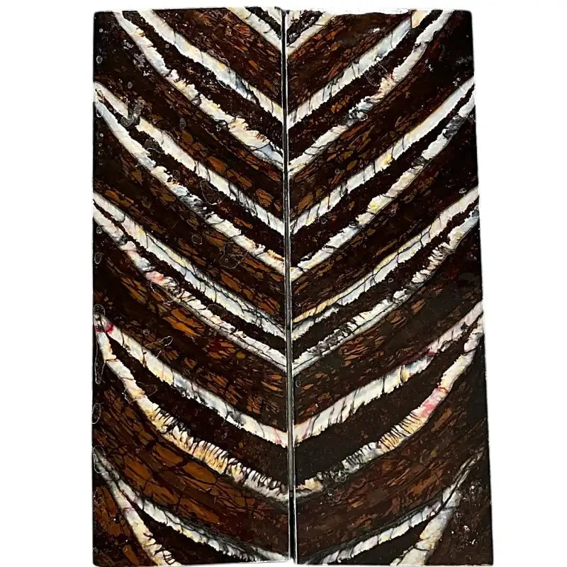 Mammoth Molar Scales- BROWN- .25" x 1.6" x 4.8"- Raffir® Fossils- MM3 - Maker Material Supply