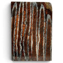 Mammoth Molar Scales- BROWN- .26" x 1.0-1.6" x 4.8"- Raffir® Fossils- MMB4Hobbies & Creative Arts