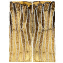 Mammoth Molar Scales- CREAM- .14" x 1.4" x 3.7"- Raffir® Fossils- MC2 - Maker Material Supply