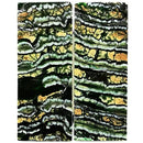 Mammoth Molar Scales- GREEN- .14" x 1.3" x 3.6"- Raffir® Fossils- MG7 - Maker Material Supply