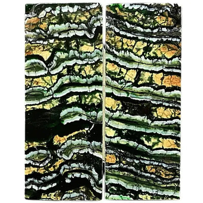Mammoth Molar Scales- GREEN- .14" x 1.3" x 3.6"- Raffir® Fossils- MG7 - Maker Material Supply