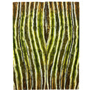Mammoth Molar Scales- GREEN- .14" x 1.4" x 3.7"- Raffir® Fossils- MG3 - Maker Material Supply