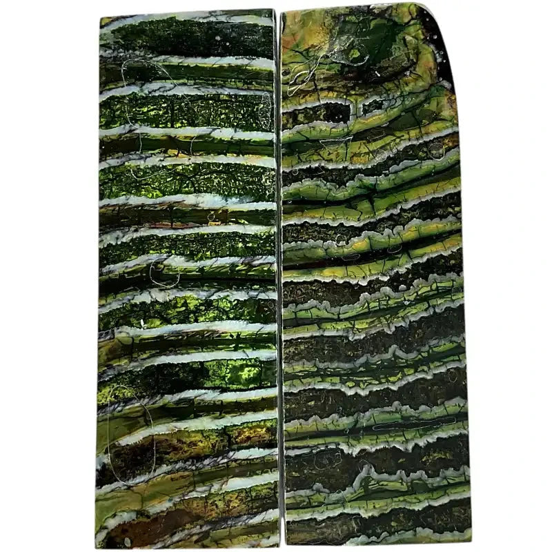 Mammoth Molar Scales- GREEN- .17" x 1.6" x 4.8"- Raffir® Fossils- MMS2 - Maker Material Supply